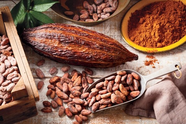 Cacao